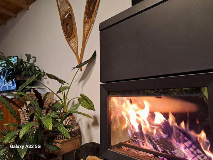 Chez Christine Et Fabrice Apartment Font-Romeu-Odeillo-Via Екстериор снимка